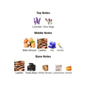 Fusion Intense Notes